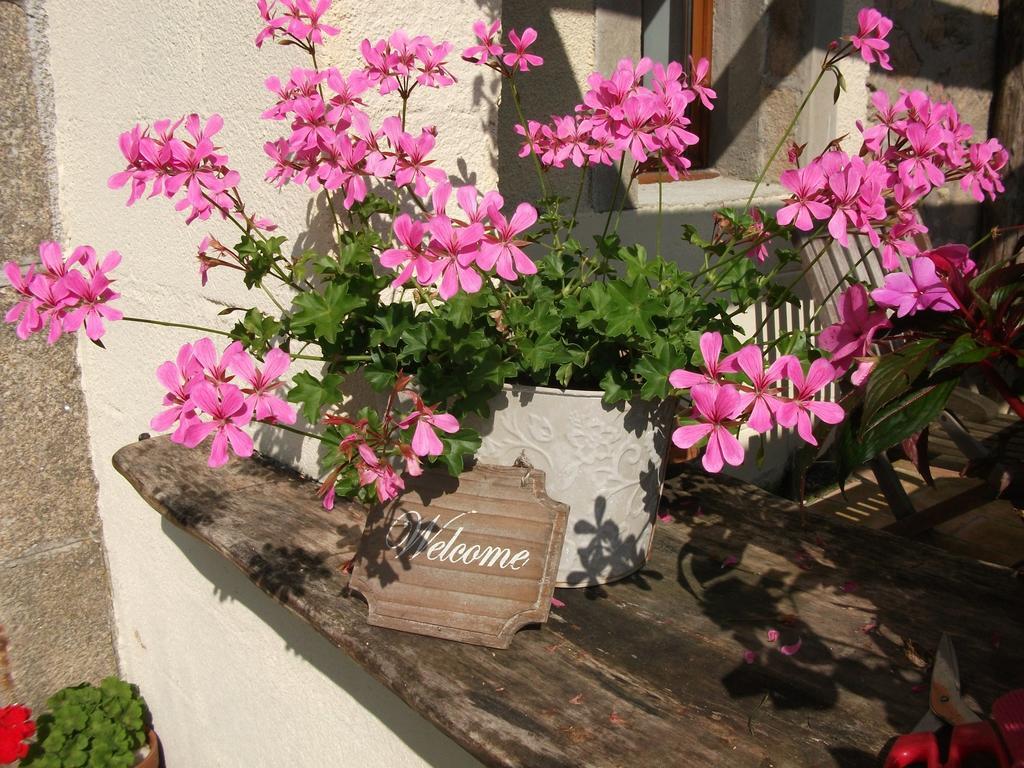 Saint-Pardoux-lʼOrtigier 38 Friaudour B&B 외부 사진
