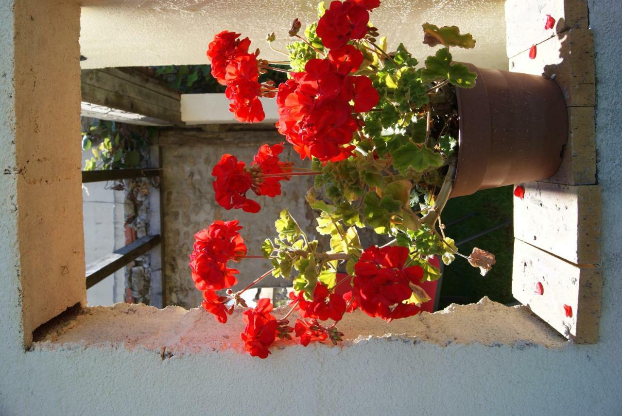 Saint-Pardoux-lʼOrtigier 38 Friaudour B&B 외부 사진